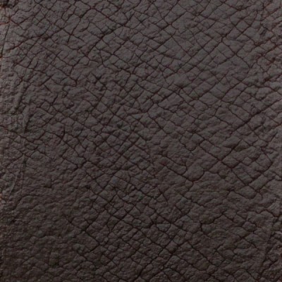 Queen Esoteric Eyebrow Pomade Burnt Sugar